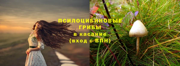 молекула духа Алзамай