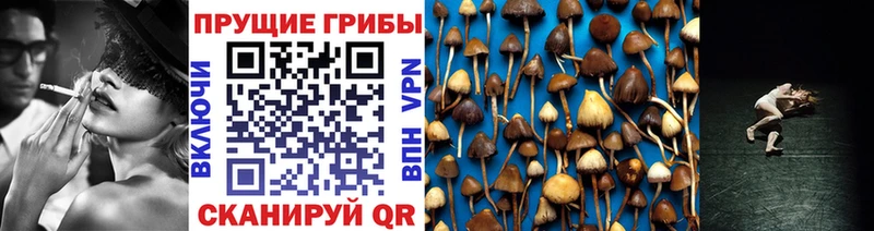 как найти наркотики  даркнет телеграм  Галлюциногенные грибы GOLDEN TEACHER  Ухта 