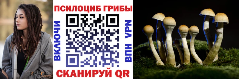 Галлюциногенные грибы мицелий Ухта